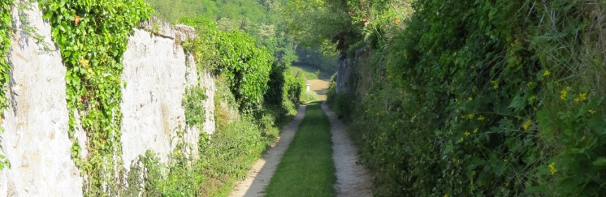 promenade à Bucy-le-long